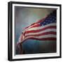 American Flag-Jai Johnson-Framed Giclee Print