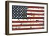 American Flag-Melissa Lyons-Framed Art Print