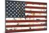 American Flag-Melissa Lyons-Mounted Art Print