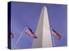 American Flags and the Washington Monument, Washington D.C., USA-Kim Hart-Stretched Canvas