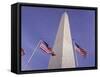 American Flags and the Washington Monument, Washington D.C., USA-Kim Hart-Framed Stretched Canvas