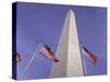 American Flags and the Washington Monument, Washington D.C., USA-Kim Hart-Stretched Canvas