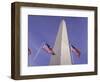 American Flags and the Washington Monument, Washington D.C., USA-Kim Hart-Framed Photographic Print