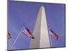 American Flags and the Washington Monument, Washington D.C., USA-Kim Hart-Mounted Photographic Print