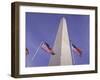 American Flags and the Washington Monument, Washington D.C., USA-Kim Hart-Framed Photographic Print