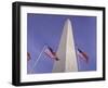 American Flags and the Washington Monument, Washington D.C., USA-Kim Hart-Framed Photographic Print