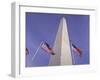 American Flags and the Washington Monument, Washington D.C., USA-Kim Hart-Framed Photographic Print