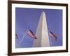 American Flags and the Washington Monument, Washington D.C., USA-Kim Hart-Framed Photographic Print