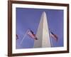 American Flags and the Washington Monument, Washington D.C., USA-Kim Hart-Framed Photographic Print