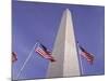 American Flags and the Washington Monument, Washington D.C., USA-Kim Hart-Mounted Photographic Print