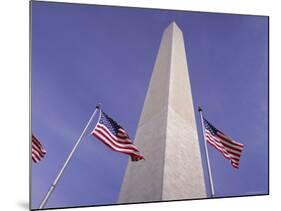 American Flags and the Washington Monument, Washington D.C., USA-Kim Hart-Mounted Photographic Print