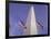 American Flags and the Washington Monument, Washington D.C., USA-Kim Hart-Framed Photographic Print
