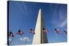 American Flags Encircling Washington Monument-Paul Souders-Stretched Canvas