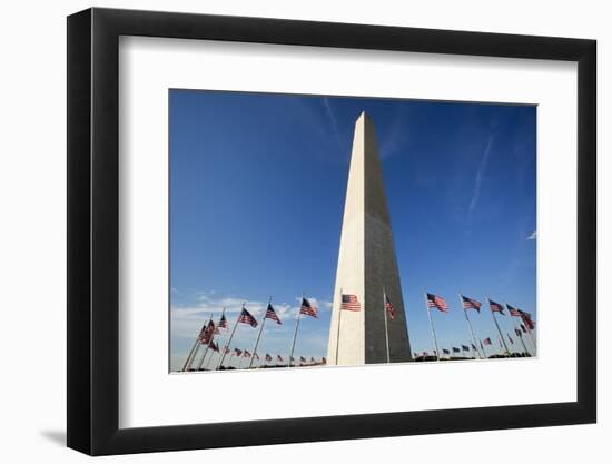 American Flags Encircling Washington Monument-Paul Souders-Framed Photographic Print