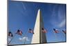 American Flags Encircling Washington Monument-Paul Souders-Mounted Photographic Print