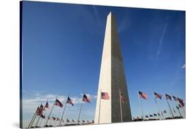 American Flags Encircling Washington Monument-Paul Souders-Stretched Canvas