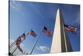 American Flags Encircling Washington Monument-Paul Souders-Stretched Canvas