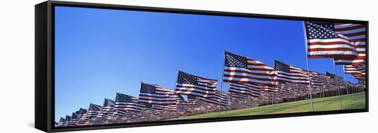 American Flags in Memory of 9/11, Pepperdine University, Malibu, California, USA-null-Framed Stretched Canvas