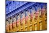 American flags - Manhattan - NYC - United States-Philippe Hugonnard-Mounted Photographic Print