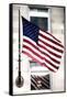 American flags - Manhattan - NYC - United States-Philippe Hugonnard-Framed Stretched Canvas