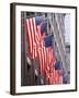 American Flags on Fifth Avenue, New York City-null-Framed Photographic Print
