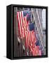 American Flags on Fifth Avenue, New York City-null-Framed Stretched Canvas