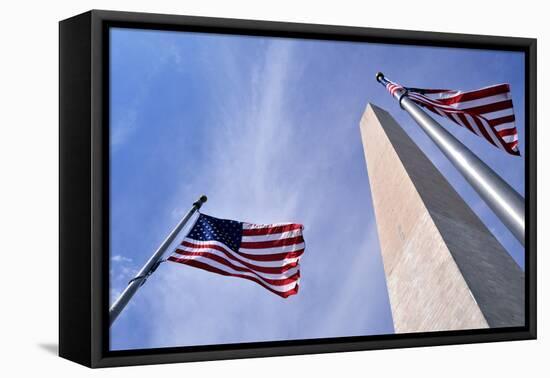 American Flags Surrounding the Washington Memorial on the National Mall in Washington Dc.-1photo-Framed Stretched Canvas