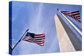 American Flags Surrounding the Washington Memorial on the National Mall in Washington Dc.-1photo-Stretched Canvas
