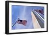 American Flags Surrounding the Washington Memorial on the National Mall in Washington Dc.-1photo-Framed Photographic Print