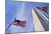 American Flags Surrounding the Washington Memorial on the National Mall in Washington Dc.-1photo-Mounted Photographic Print