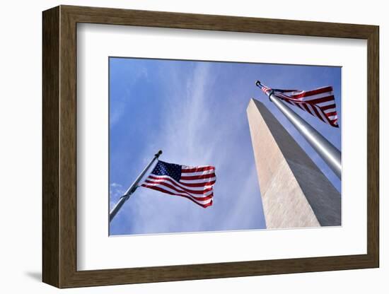 American Flags Surrounding the Washington Memorial on the National Mall in Washington Dc.-1photo-Framed Photographic Print