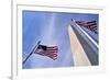 American Flags Surrounding the Washington Memorial on the National Mall in Washington Dc.-1photo-Framed Photographic Print