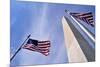 American Flags Surrounding the Washington Memorial on the National Mall in Washington Dc.-1photo-Mounted Photographic Print