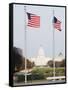 American Flags, the Capitol Building, Capitol Hill, Washington D.C.-Christian Kober-Framed Stretched Canvas