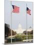 American Flags, the Capitol Building, Capitol Hill, Washington D.C.-Christian Kober-Mounted Photographic Print