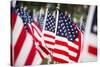 American Flags-PaulMaguire-Stretched Canvas