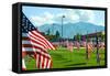 American Flags-Gary Tognoni-Framed Stretched Canvas