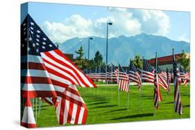 American Flags-Gary Tognoni-Stretched Canvas