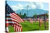 American Flags-Gary Tognoni-Stretched Canvas