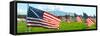 American Flags-Gary Tognoni-Framed Stretched Canvas