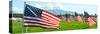 American Flags-Gary Tognoni-Stretched Canvas