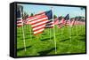 American Flags-Gary Tognoni-Framed Stretched Canvas