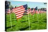 American Flags-Gary Tognoni-Stretched Canvas