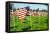 American Flags-Gary Tognoni-Framed Stretched Canvas