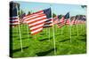 American Flags-Gary Tognoni-Stretched Canvas