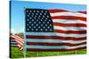 American Flags-Gary Tognoni-Stretched Canvas