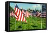 American Flags-Gary Tognoni-Framed Stretched Canvas