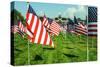 American Flags-Gary Tognoni-Stretched Canvas