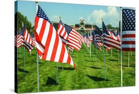 American Flags-Gary Tognoni-Stretched Canvas