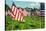 American Flags-Gary Tognoni-Stretched Canvas